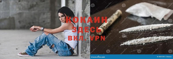 ПСИЛОЦИБИНОВЫЕ ГРИБЫ Белокуриха